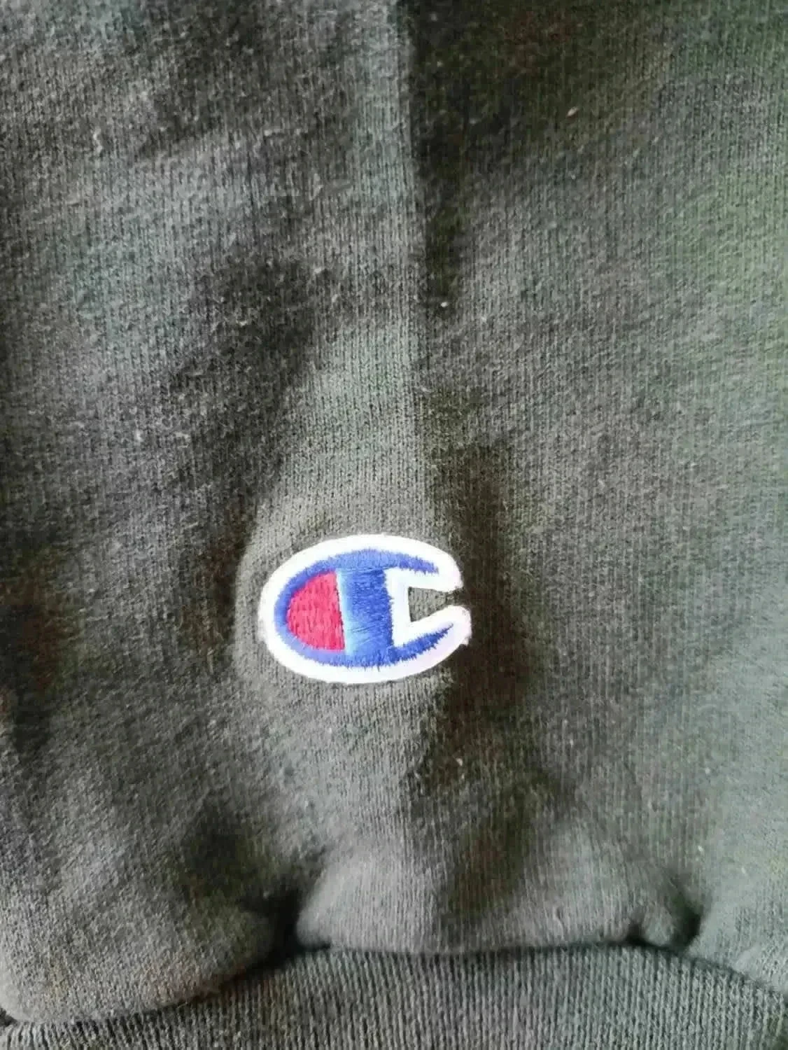 Hoodie Champion Northwest groen Maat M – photo 3